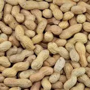 Fresh Peanuts Uganda