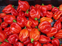 Red Pepper Uganda